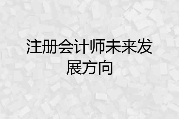 注册会计师未来发展方向