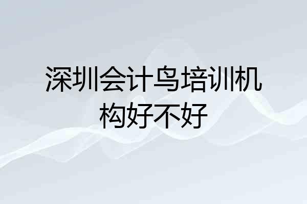 深圳会计鸟培训机构好不好