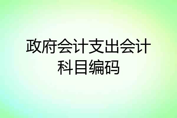政府会计支出会计科目编码