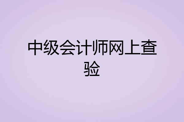 中级会计师网上查验
