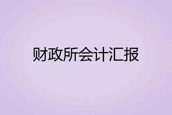 财政所会计汇报