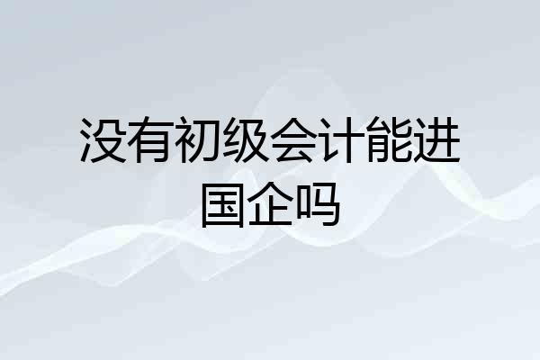 没有初级会计能进国企吗