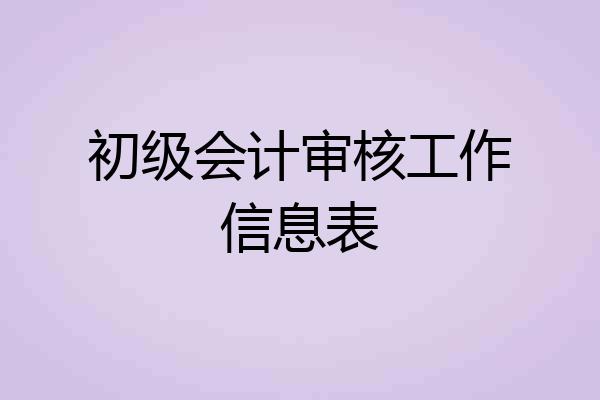 初级会计审核工作信息表