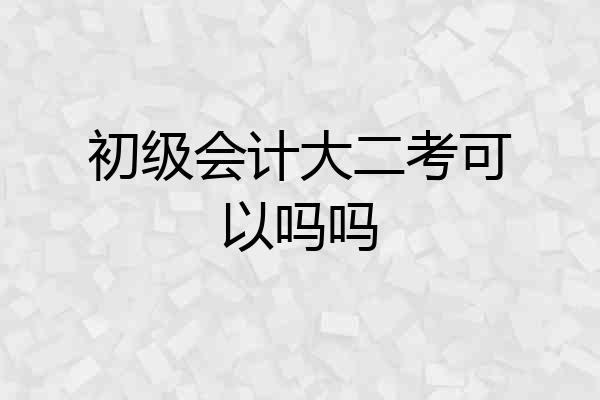 初级会计大二考可以吗吗