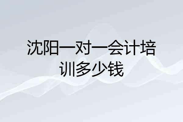 沈阳一对一会计培训多少钱