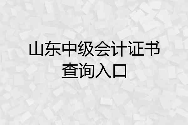 山东中级会计证书查询入口