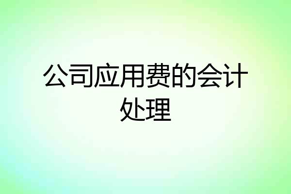 公司应用费的会计处理