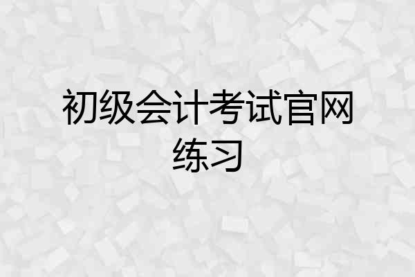 初级会计考试官网练习