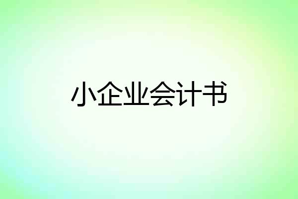 小企业会计书