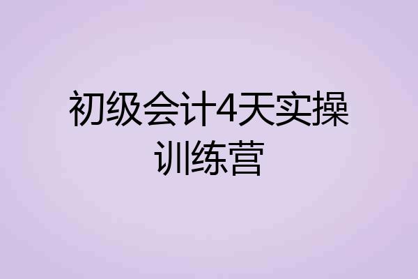 初级会计4天实操训练营