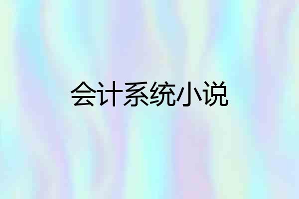 会计系统小说