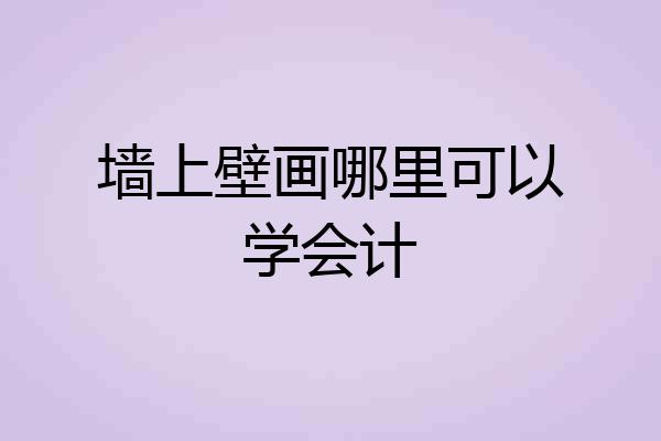 墙上壁画哪里可以学会计