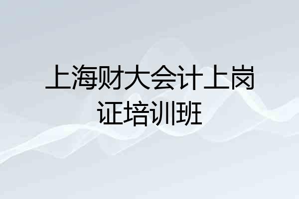 上海财大会计上岗证培训班