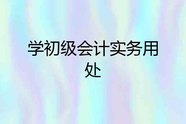 学初级会计实务用处
