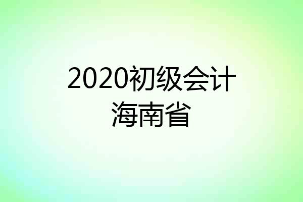 2020初级会计海南省