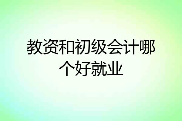 教资和初级会计哪个好就业
