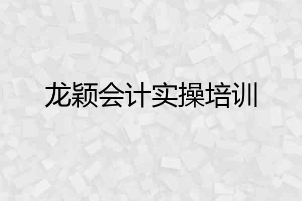 龙颖会计实操培训