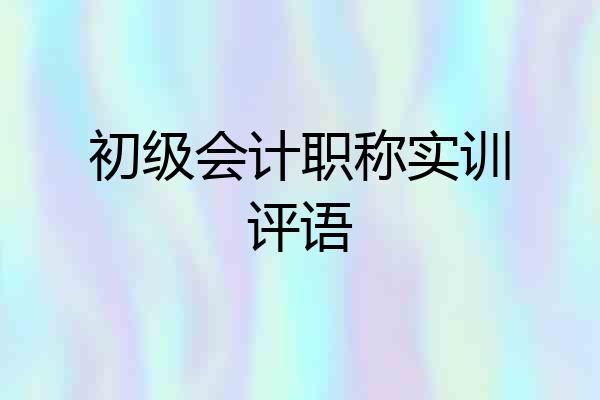 初级会计职称实训评语