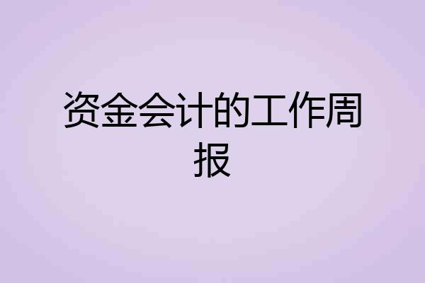 资金会计的工作周报