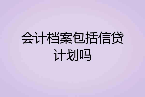 会计档案包括信贷计划吗