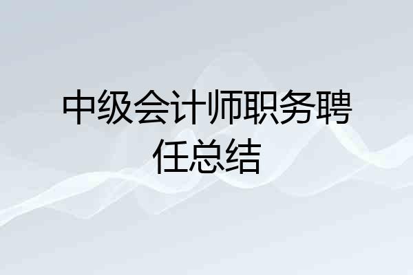 中级会计师职务聘任总结