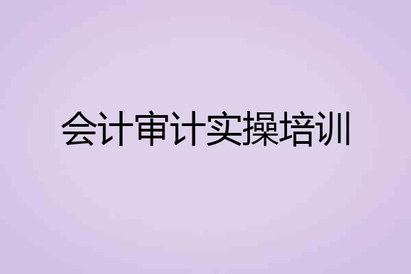 会计审计实操培训