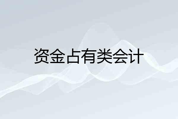 资金占有类会计
