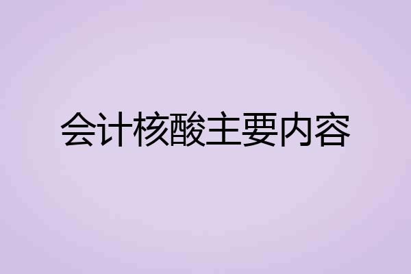 会计核酸主要内容