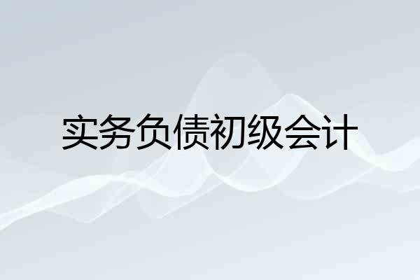 实务负债初级会计
