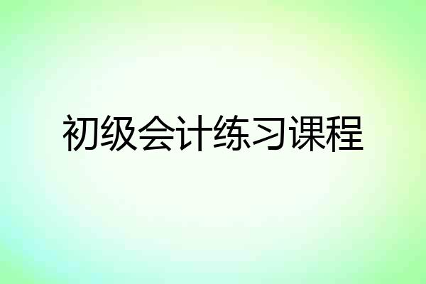 初级会计练习课程