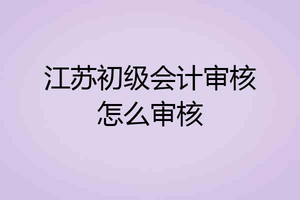 江苏初级会计审核怎么审核