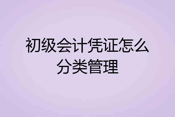 初级会计凭证怎么分类管理