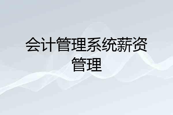 会计管理系统薪资管理