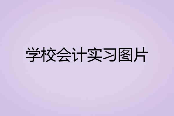 学校会计实习图片