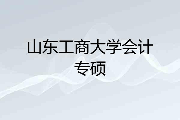 山东工商大学会计专硕