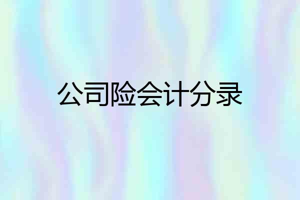 公司险会计分录