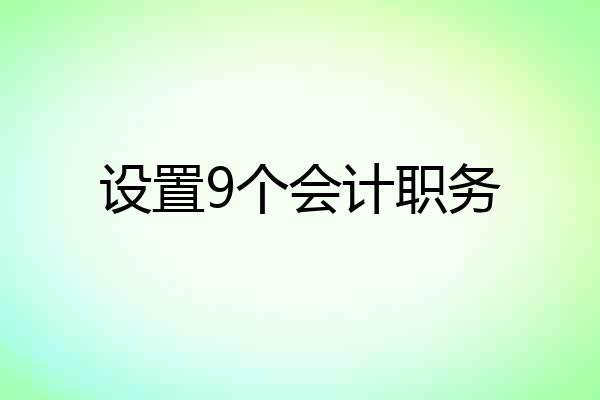 设置9个会计职务