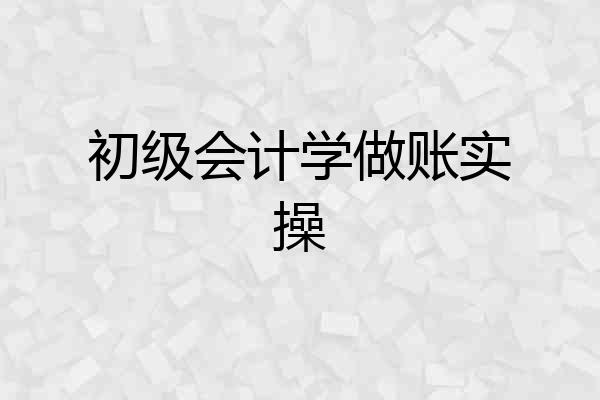 初级会计学做账实操