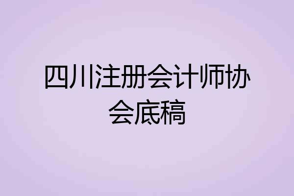 四川注册会计师协会底稿