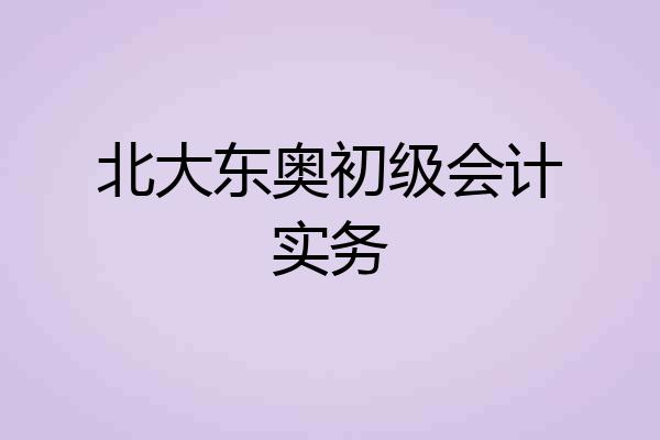 北大东奥初级会计实务