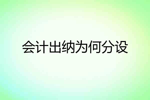 会计出纳为何分设