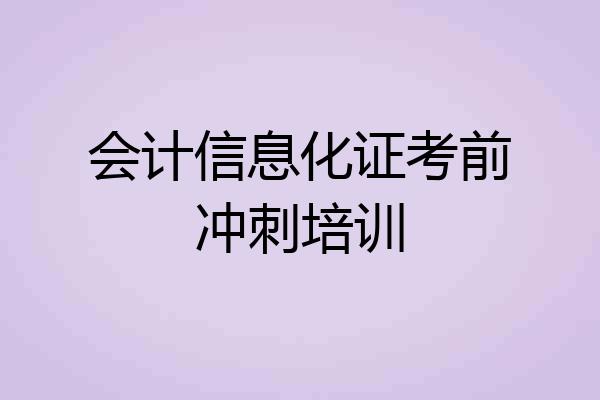 会计信息化证考前冲刺培训