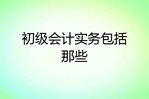 初级会计实务包括那些