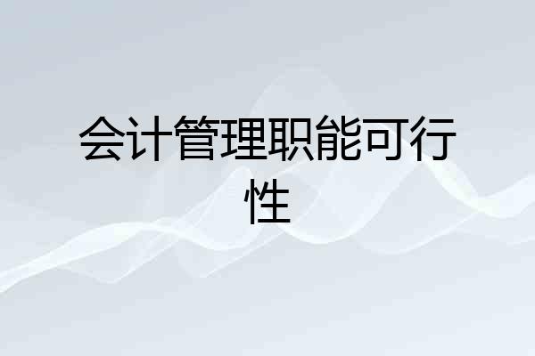 会计管理职能可行性