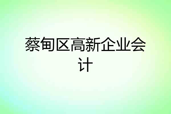 蔡甸区高新企业会计