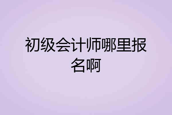 初级会计师哪里报名啊