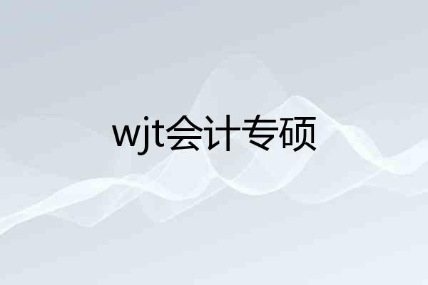 wjt会计专硕