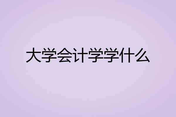 大学会计学学什么