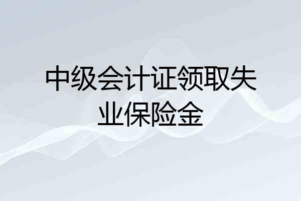 中级会计证领取失业保险金