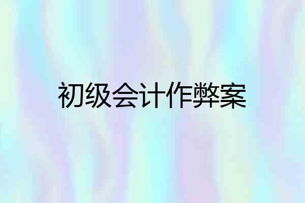 初级会计作弊案